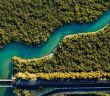 Bahnbrechendes Projekt zur Wiederaufforstung von Mangroven in (Foto: AdobeStock -  Wirestock 675017275)