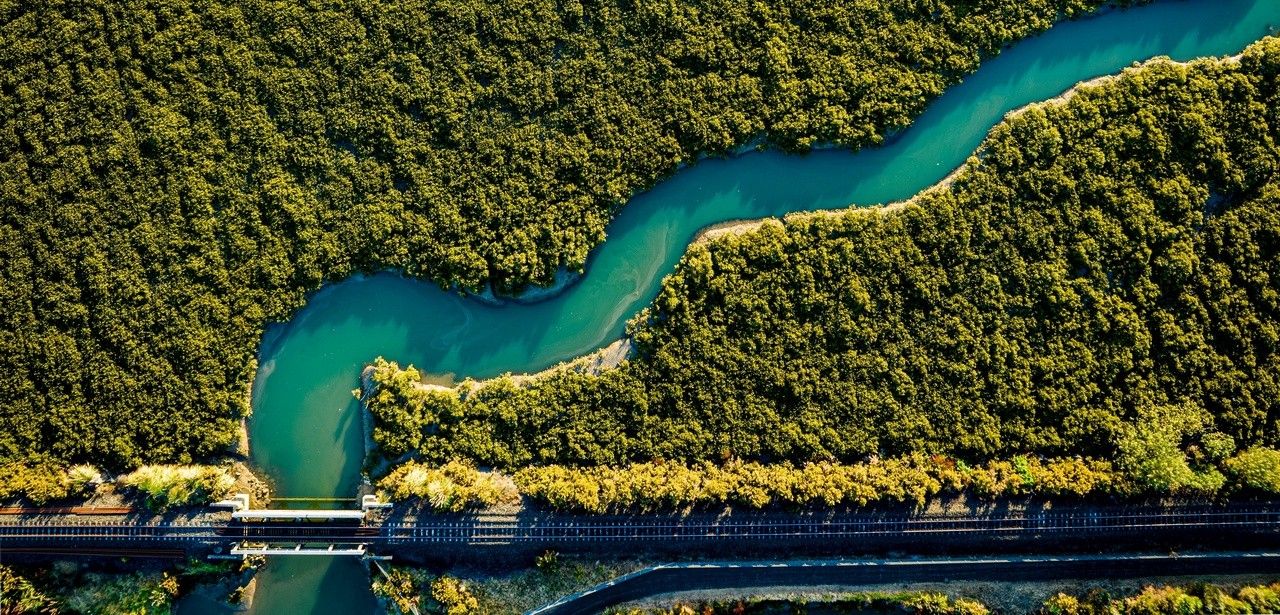 Bahnbrechendes Projekt zur Wiederaufforstung von Mangroven in (Foto: AdobeStock -  Wirestock 675017275)